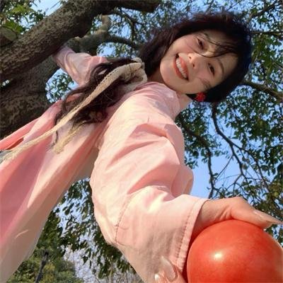 菜鸟老警第二季
